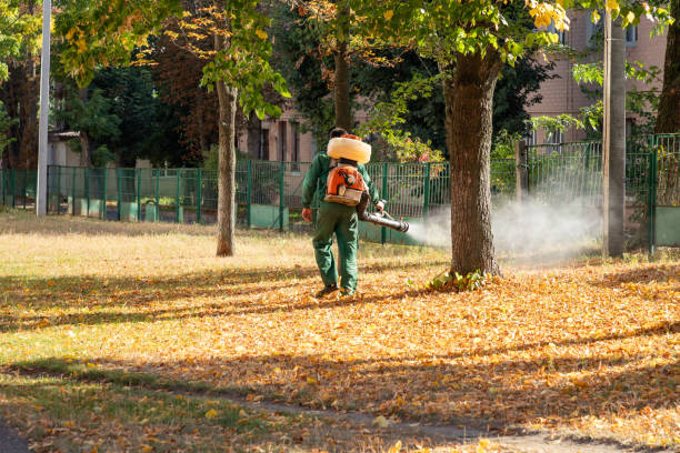 Best Pest Control for Businesses  in Rocklin, CA