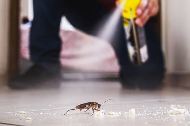 Best Pest Prevention Services  in Rocklin, CA